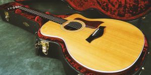 Best Acoustic Guitar For Corridos Reviews